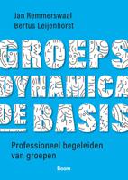 Groepsdynamica, de basis (Paperback)