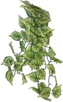 Plant hanging hedera 65 cm Repto - Repto Plant hanging hedera 65 cm Repto - Repto