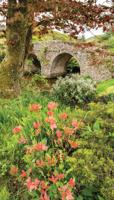 Boog bloem 70x130cm Tuinschilderij - Customize it