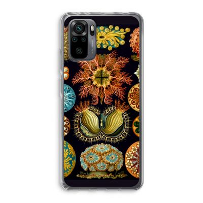 Haeckel Ascidiae: Xiaomi Redmi Note 10 Pro Transparant Hoesje