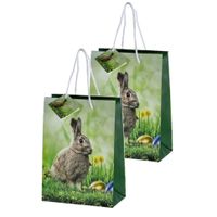 Set van 6x stuks papieren pasen giftbags/cadeau tasjes haas 18 x 23 x 8 cm