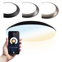 HOFTRONIC SMART LED Bulkhead 30 cm - Plafondlamp - WiFi + Bluetooth - 18W 1800 Lumen - Lichtkleur instelbaar - Dimbaar - IK10 - Zwart - IP65 Waterdicht