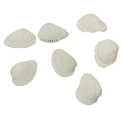 Rayher hobby schelpen - 250 gram - decoratie schelpjes - parelmoer/wit - afmeting 2 cm