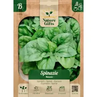 Spinazie matador per 35m