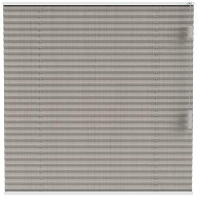 Leen Bakker - Fenstr Plisségordijn Lille Enkel 20mm Transparant - Zand (25312) - Polyester - Beige - 120x10x10 Cm