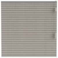 Leen Bakker - Fenstr Plisségordijn Lille Enkel 20mm Transparant - Zand (25312) - Polyester - Beige - 120x10x10 Cm