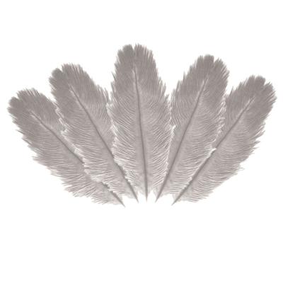 Struisvogelveren/sierveren - 5x - lichtgrijs - 20-25 cm - decoratie/hobbymateriaal