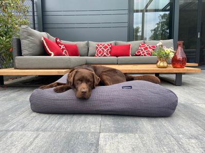Dog's Companion® Hondenbed Copenhagen full grey