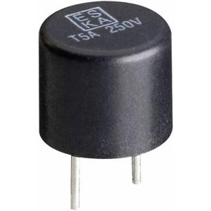 ESKA 885013 885013 Printzekering Radiaal bedraad Rond 0.4 A 250 V Snel -F- 1 stuk(s)