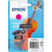 Epson Singlepack Magenta 250XL ink