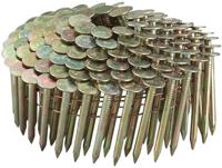 Makita Accessoires asfaltnagel 3,1x22mm - f-30762