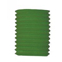 Treklampion groen 16 cm hoog - Feestlampionnen - thumbnail