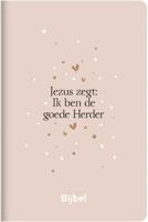 HSV Meidenbijbel (Hardback)