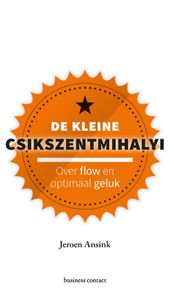 De kleine Csikszentmihalyi - Jeroen Ansink - ebook