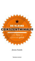 De kleine Csikszentmihalyi - Jeroen Ansink - ebook