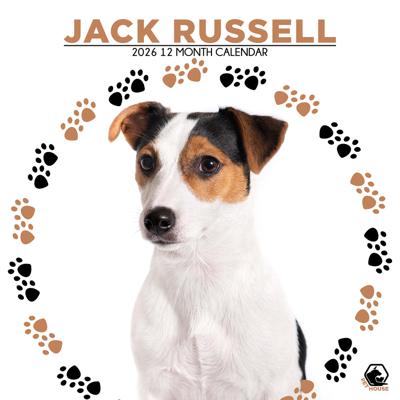 Jack Russell Terrier Kalender 2026