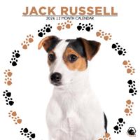 Jack Russell Terrier Kalender 2026