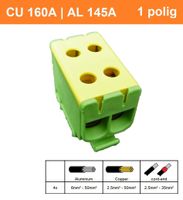 SEP CK66 geel/groen 2.5-50mm2 dubbel DIN rail montage