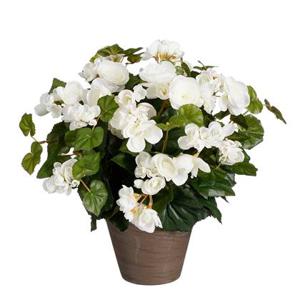 Mica Decorations Begonia Kunstplant - H37 x Ø36 cm - Wit