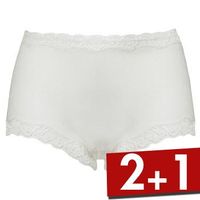 Damella Silk Brief