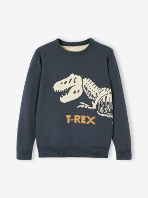 Jongensjacquardtrui met dinosaurusmotief marineblauw