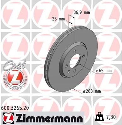 Remschijf COAT Z 600326520