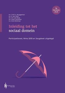 Inleiding tot het sociaal domein (Paperback)