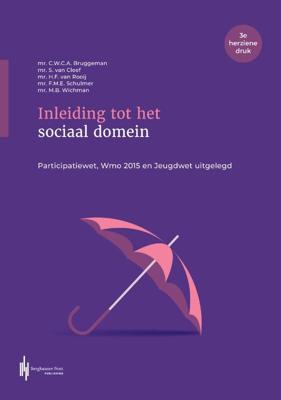 Inleiding tot het sociaal domein (Paperback)