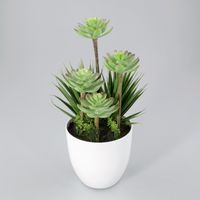 Plantje in kunststof pot Nova rood groen - Oosterik Home - thumbnail
