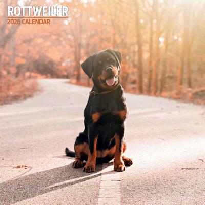 Rottweiler Kalender 2026