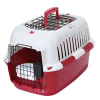 Adventurer 50 basic edition Red - 49x32x32 cm