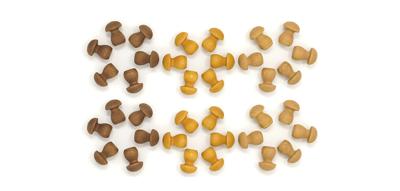 Grapat Mandala Kleine Paddenstoelen - 36 stuks (3 kleuren)