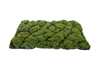 Kunst mos mat groen-bruin Grof 70X50 cm kerst - My village