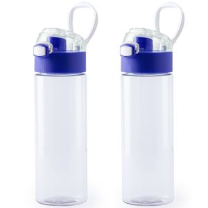 2x Stuks kunststof waterfles/drinkfles transparant met blauwe schroefdop en handvat 580 ml