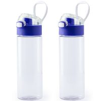 2x Stuks kunststof waterfles/drinkfles transparant met blauwe schroefdop en handvat 580 ml