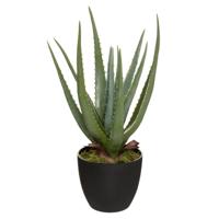 Atmosphera Aloe vera kunstplant in pot van cement 42 cm - Nepplanten Atmosphera Aloe vera kunstplant in pot van cement 42 cm - Nepplanten