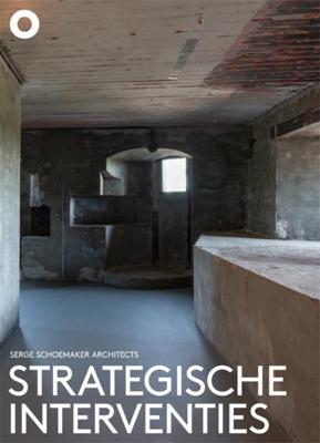 Strategische interventies (Paperback)