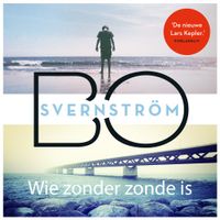 Wie zonder zonde is