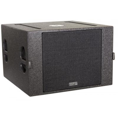 Synq SQ-212 Passieve compacte subwoofer 2 x 12 inch