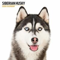 Siberian Husky Modern Kalender 2026
