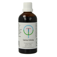 Therapeutenwinkel Salvia triloba 100 Milliliter