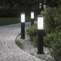 VidaXL Bolderverlichting 3 stuks 50 cm rvs ip44