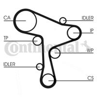 Waterpomp + distributieriem set CONTINENTAL CTAM, u.a. für VW, MAN