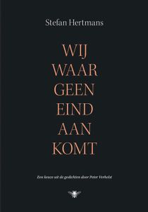 Wij waar geen eind aan komt - Stefan Hertmans - ebook
