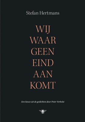 Wij waar geen eind aan komt - Stefan Hertmans - ebook