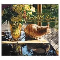 Cats we Love Kalender 2026 Cats we Love Kalender 2026