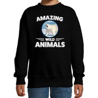 Sweater ijsberen amazing wild animals / dieren trui zwart voor kinderen - thumbnail