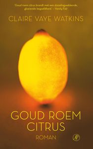 Goud roem citrus - Claire Vaye Watkins - ebook