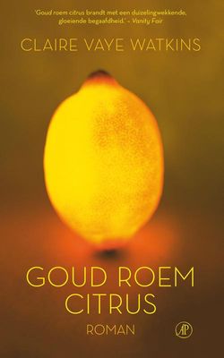 Goud roem citrus - Claire Vaye Watkins - ebook