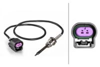Sensor, uitlaatgastemperatuur 6PT014494391